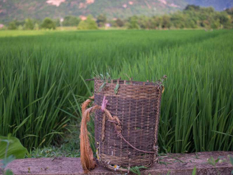 Mai Chau villages tour