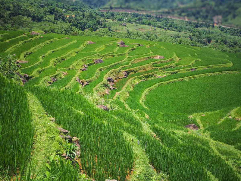 Pu Luong natural reserve