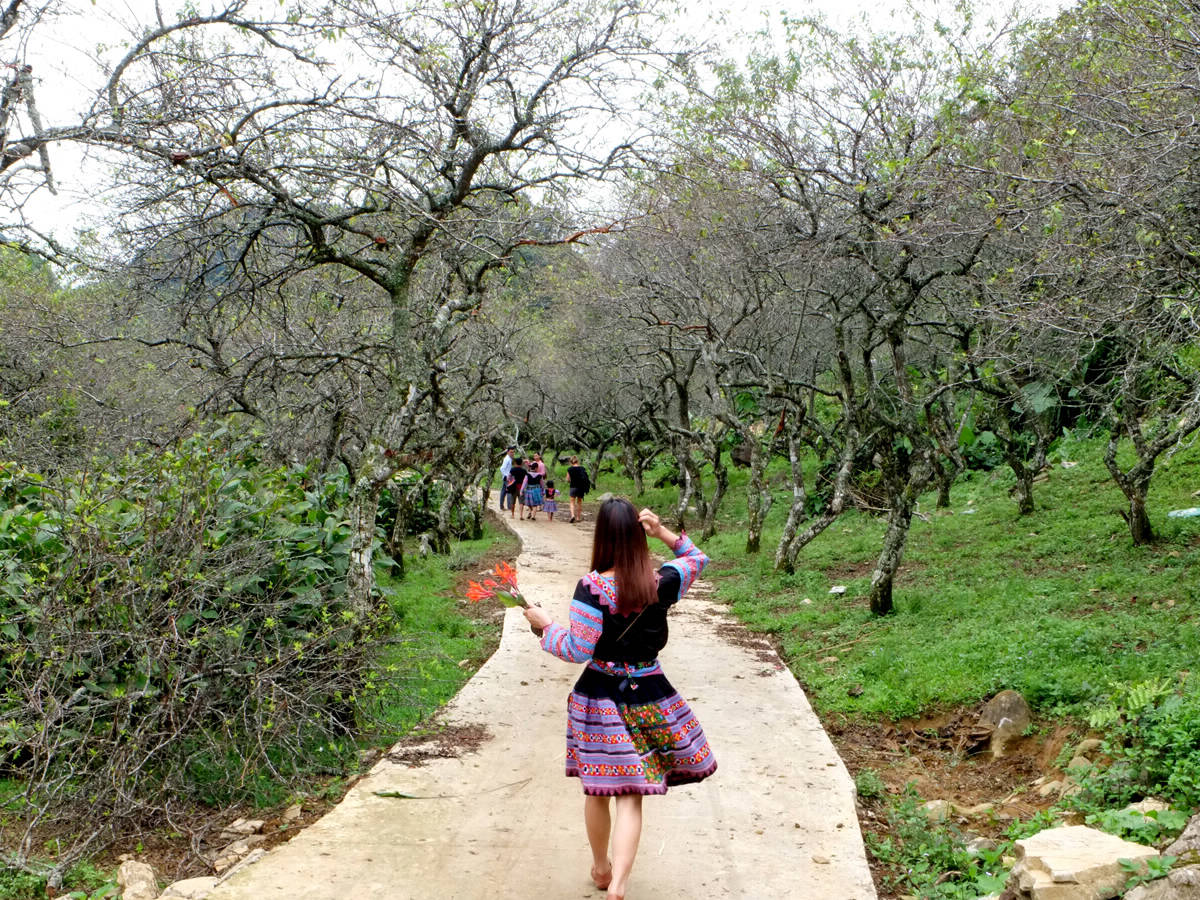 Hoa Binh mountains